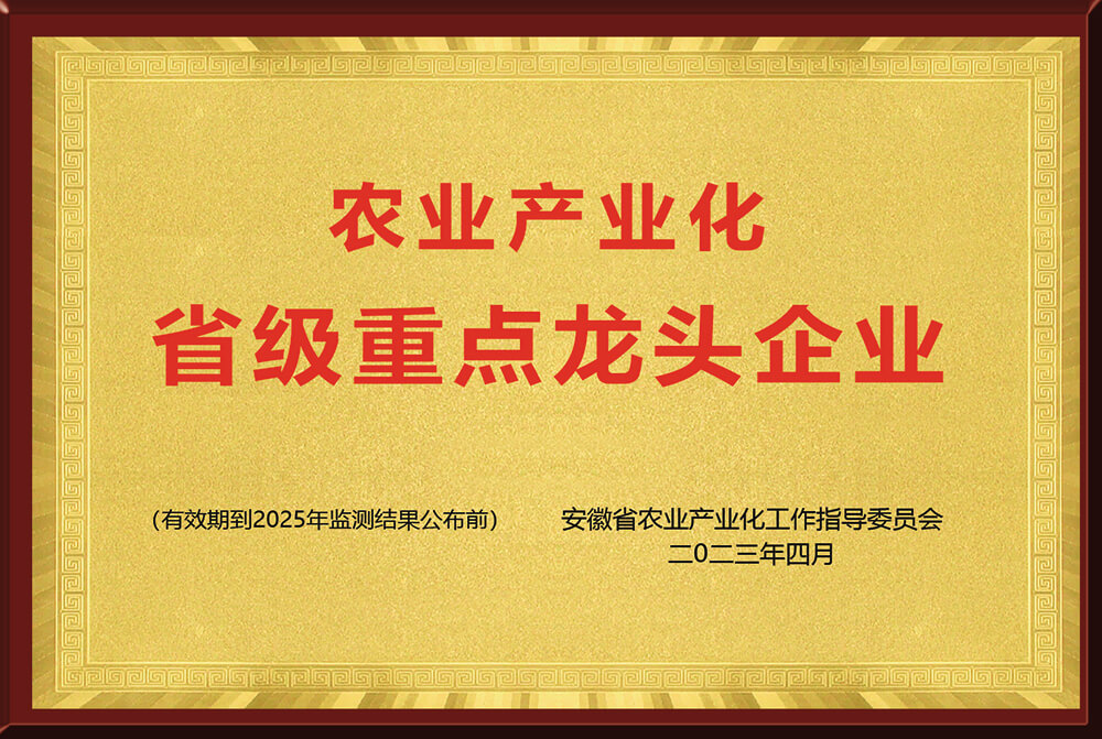 省级重点龙头企业