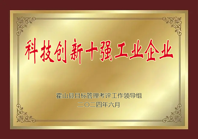 科技创新十强工业企业